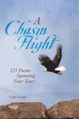 bokomslag A Chasm Flight: 123 Poems Spanning Four Years
