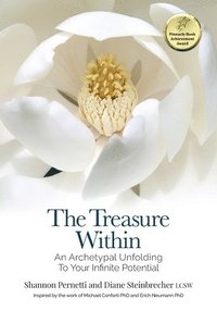 bokomslag Treasure Within