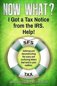 bokomslag Now What? I Got a Tax Notice from the IRS. Help!: Defining and deconstructing the scary and confusing letters that land in your mailbox.