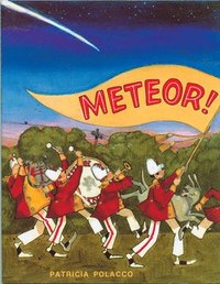 bokomslag Meteor!