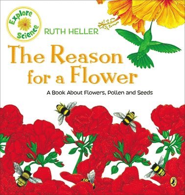 Reason For A Flower 1