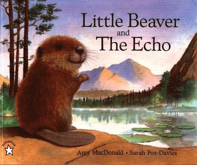 Amy MacDonald - Little Beaver and the Echo, Häftad
