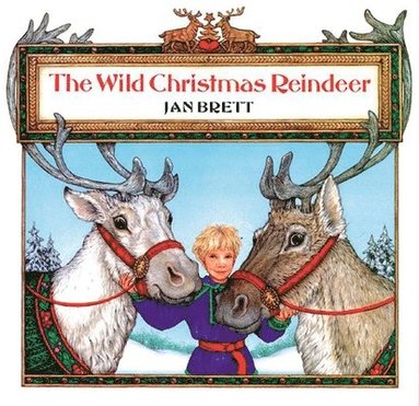 bokomslag Wild Christmas Reindeer
