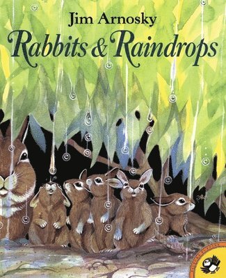 Jim Arnosky - Rabbits and Raindrops, Häftad