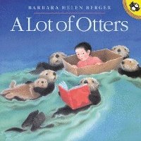 Lot Of Otters 1