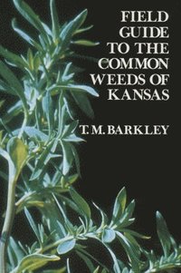 bokomslag Field Guide to the Common Weeds of Kansas