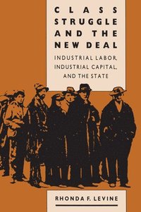bokomslag Class Struggle and the New Deal
