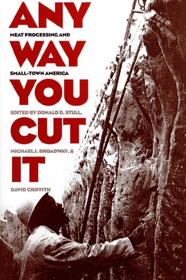 bokomslag Any Way You Cut it