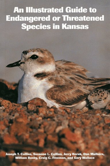 Joseph T. Collins, Suzanne L. Collins, Jerry Horak, Dan Mulhern, William Busby, Craig C. Freeman, Gary Wallace - Illustrated Guide to Endangered or Threatened Species in Kansas, Häftad