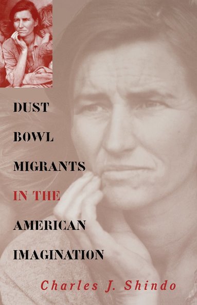 bokomslag Dust Bowl Migrants in the American Imagination