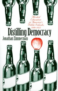 bokomslag Distilling Democracy