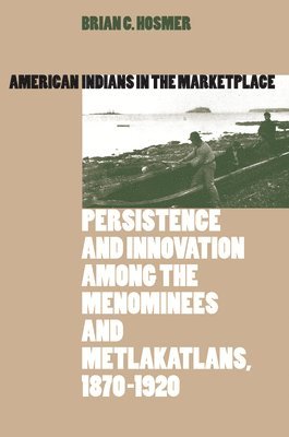 bokomslag American Indians in the Marketplace