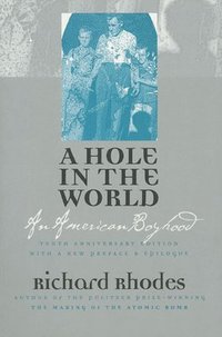 bokomslag A Hole in the World