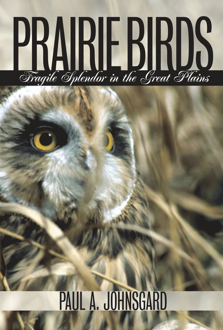 Prairie Birds 1