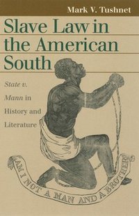 bokomslag Slave Law in the American South