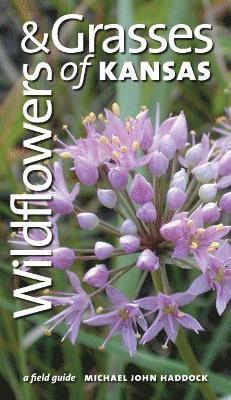 Wildflowers and Grasses of Kansas 1