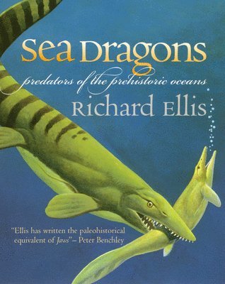 Sea Dragons 1