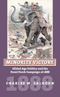 bokomslag Minority Victory