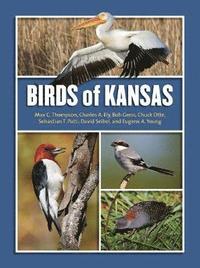 bokomslag Birds of Kansas