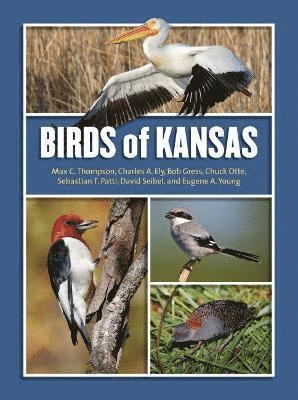 Birds of Kansas 1