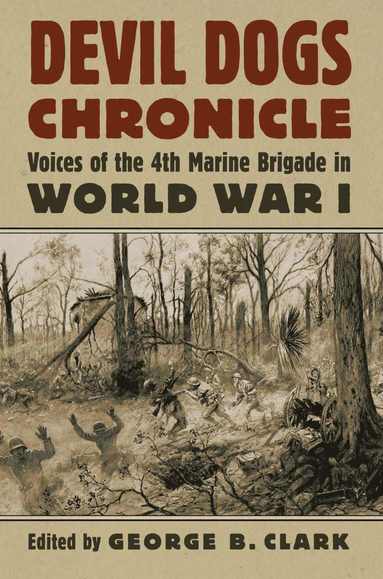 bokomslag Devil Dogs Chronicle