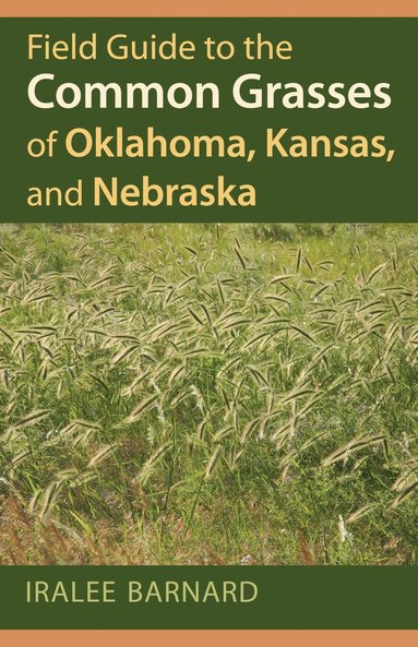 bokomslag Field Guide to the Common Grasses of Oklahoma, Kansas, and Nebraska