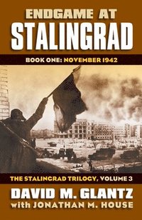 bokomslag Endgame at Stalingrad: The Stalingrad Trilogy, Volume 3