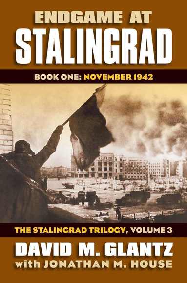 bokomslag Endgame at Stalingrad: The Stalingrad Trilogy, Volume 3