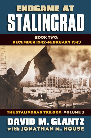 bokomslag Endgame at Stalingrad: The Stalingrad Trilogy, Volume 3