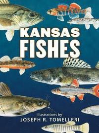 bokomslag Kansas Fishes