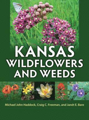 Kansas Wildflowers and Weeds 1