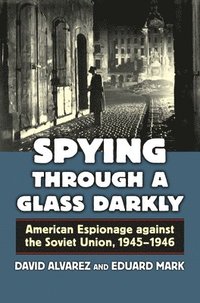 bokomslag Spying through a Glass Darkly