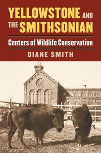 bokomslag Yellowstone and the Smithsonian