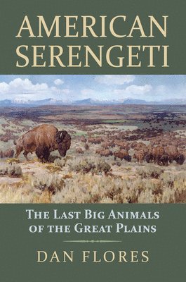 American Serengeti 1