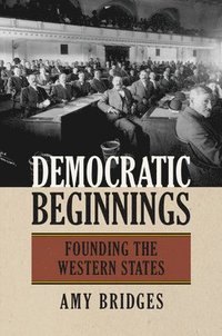 bokomslag Democratic Beginnings