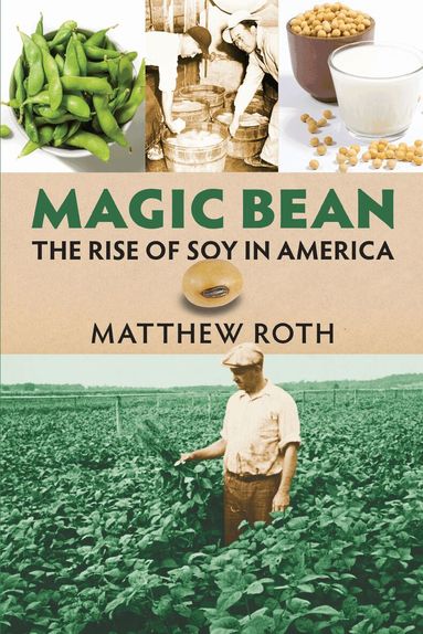 Matthew Roth - Magic Bean, Häftad