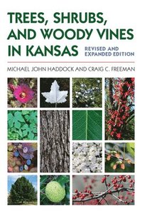 bokomslag Trees, Shrubs, and Woody Vines in Kansas