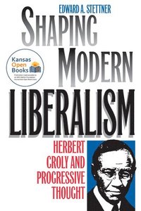 bokomslag Shaping Modern Liberalism