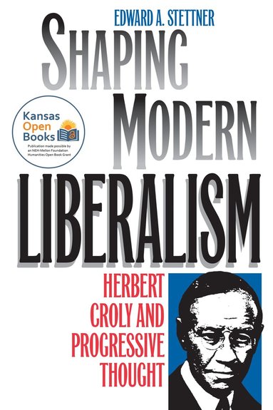 bokomslag Shaping Modern Liberalism