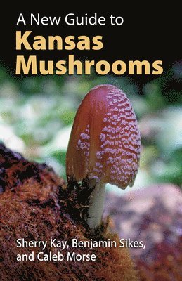 bokomslag A New Guide to Kansas Mushrooms