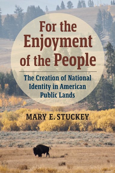 Mary E. Stuckey - For the Enjoyment of the People, Inbunden