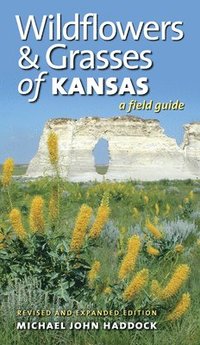 bokomslag Wildflowers and Grasses of Kansas