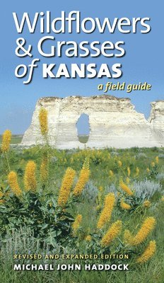 Wildflowers and Grasses of Kansas 1