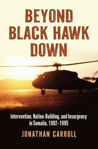 bokomslag Beyond Black Hawk Down