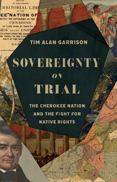Tim Alan Garrison - Sovereignty on Trial, Inbunden