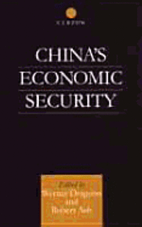 bokomslag China's Economic Security