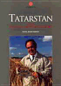 bokomslag Model Of Tatarstan