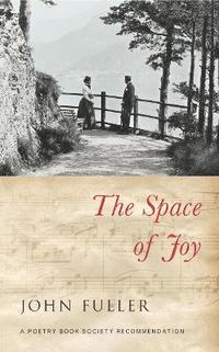 bokomslag The Space of Joy