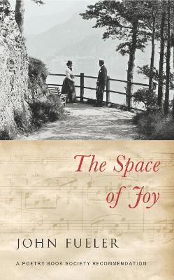 The Space of Joy 1