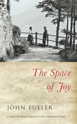 John Fuller - Space of Joy, Häftad